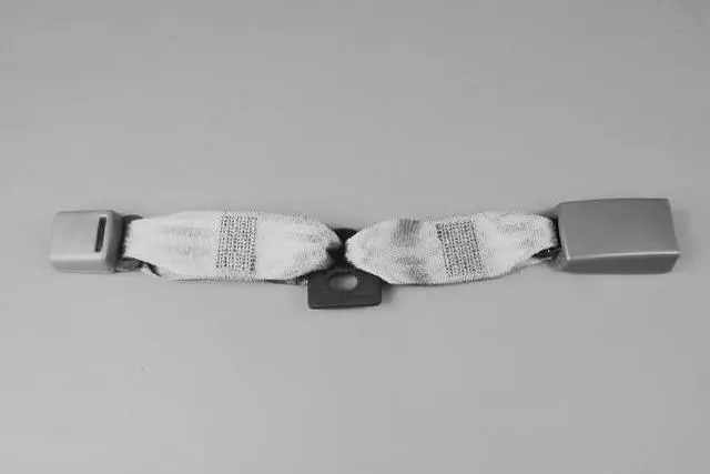 Rear Inner Seat Belt, Right - Mopar (ZW111KAAC)
