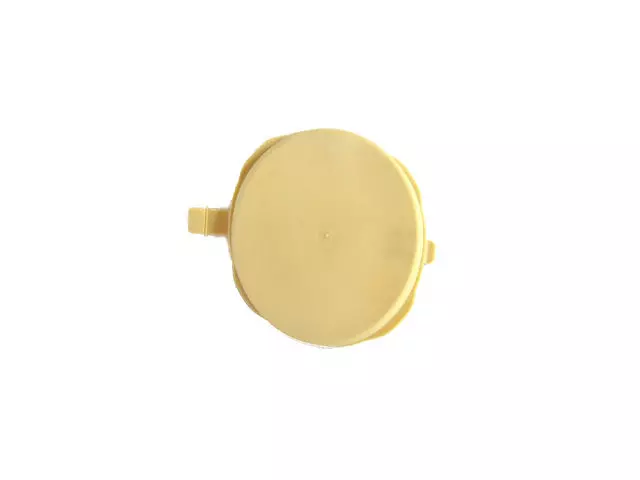 68227286AA - Doors, Door Mirrors and Related Parts: Latch Access Plug, Left for Mopar Image