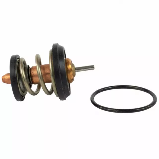 QRT1 - : Thermostat Assembly for Ford Image