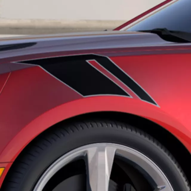 Rear Blackout Decal - GM (23241386)