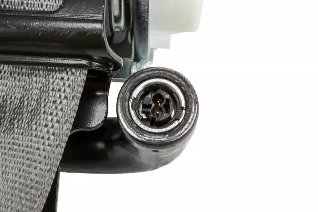 19351684 - Electrical: Outer Belt Assembly for Cadillac: Escalade, Escalade ESV | Chevrolet: Suburban, Tahoe | GMC: Yukon, Yukon XL Image