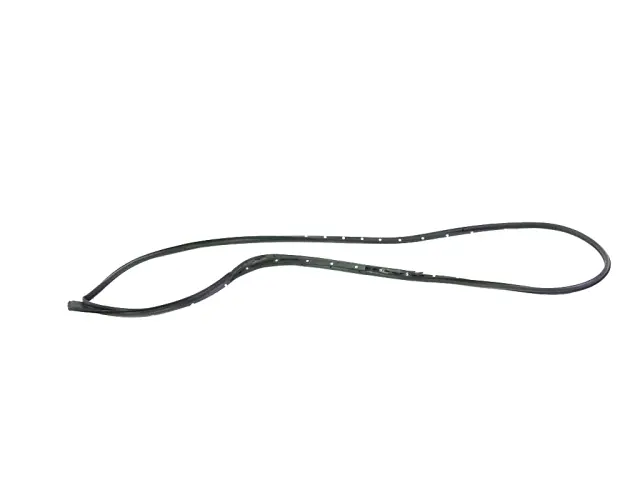 68291619AD - : Rear Door Mounted Weatherstrip, Left for Mopar Image