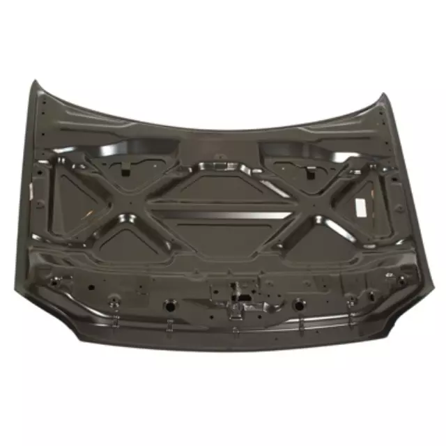 Hood - Ford (8E6Z-16612-A)