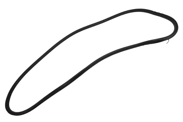 Rear Side Door Weatherstrip - GM (84738262)