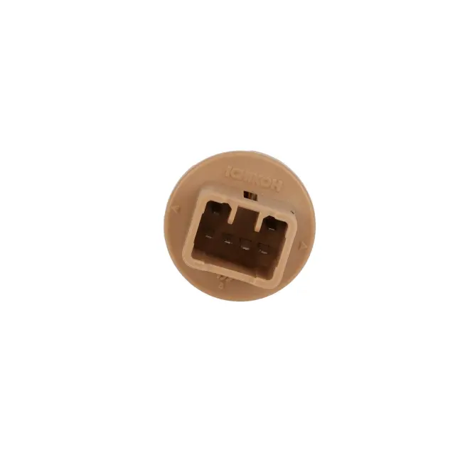 610429 - Electronics: Tail Light Socket for ROSTRA Image