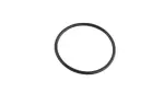 68157217AA - Cooling: O Ring for Mopar Image