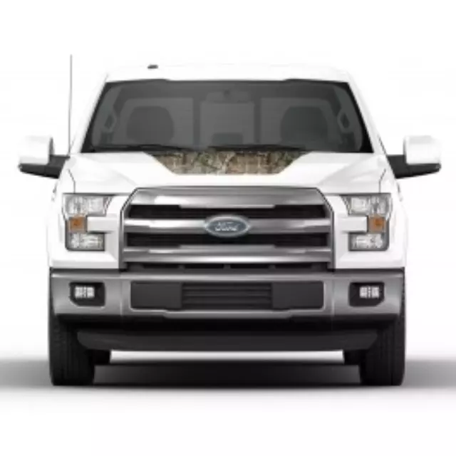 Tri Bar Stripe, Mossy Oak Camo - Ford (VGL3Z-9920000-A)