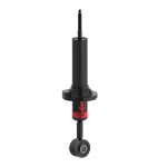 RS77875 - : RS7MT Suspension Strut for Rancho Suspensions Image