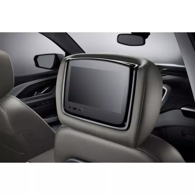Headrest and Video Screen Assembly - GM (84576970)