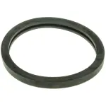 MG23EA - : Engine Coolant Thermostat Seal for Motorad Image