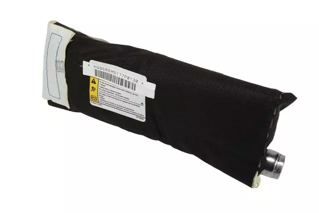 Driver Seat Side Airbag - GM (20759565)