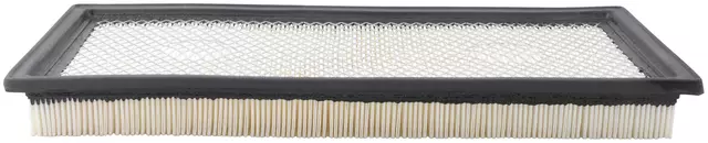 Air Filter - ACDelco (A3115C)