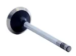 V4359 - : Engine Exhaust Valve for Enginetech Image
