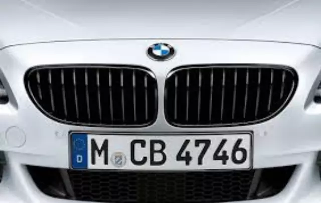 51712297595 - Body: Grille for BMW: 640i, 640i Gran Coupe, 640i xDrive, 640i xDrive Gran Coupe, 650i, 650i Gran Coupe, 650i xDrive, 650i xDrive Gran Coupe Image