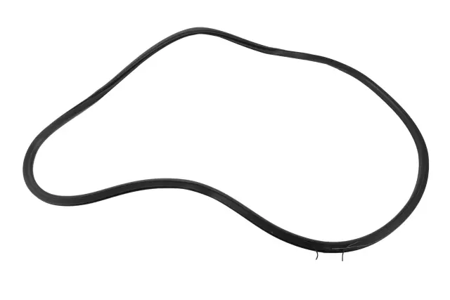 Weather-Strip On Body - GM (94550170)