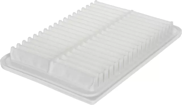 F (S)Element - GM (19236613)