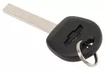 13523900 - : Door Lock and Ignition Key for ACDelco Image