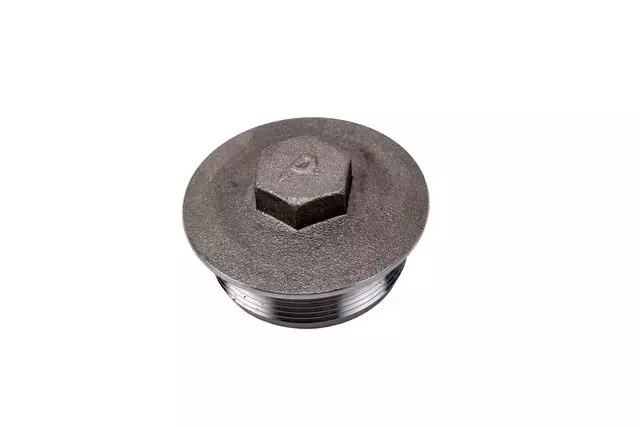 12471620 - : Front Differential Carrier Oil Filler Plug for GM Image
