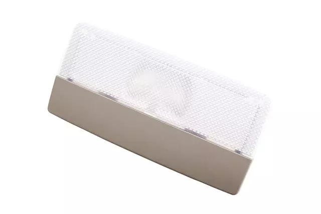 Light Titanium Courtesy Lamp - GM (22774353)