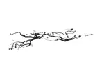68678375AB - : Wiring for Mopar Image