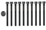 HB275 - : Engine Cylinder Head Bolt Set for Enginetech Image