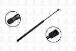 80044 - : Focus Auto Parts Hood Lift Support for Focus Auto Parts Image