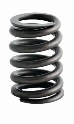 ERV3510 - : Engine Valve Spring for Enginetech Image