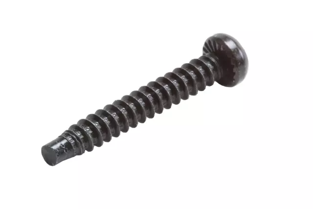 12481377 - : Sun Visor Bolt for Buick: LeSabre | Pontiac: Bonneville Image