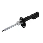 AST84821 - Suspension: Motorcraftâ„¢ Strut for Ford: EcoSport Image