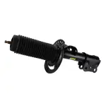 AST84836 - Suspension: Motorcraftâ„¢ Strut for Ford: Mustang Image