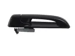 1GH19WASAF - Doors, Door Mirrors and Related Parts: Exterior Door Handle, Left for Mopar Image