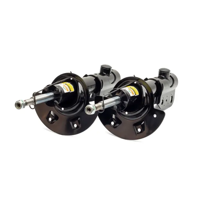 SK2189 - : Arnott Suspension Strut for Arnott Image