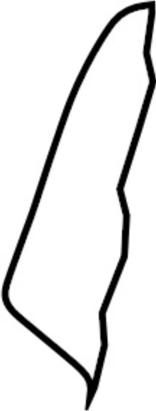 886111W300 - Body: Seat Back Pad for INFINITI: QX4 Image