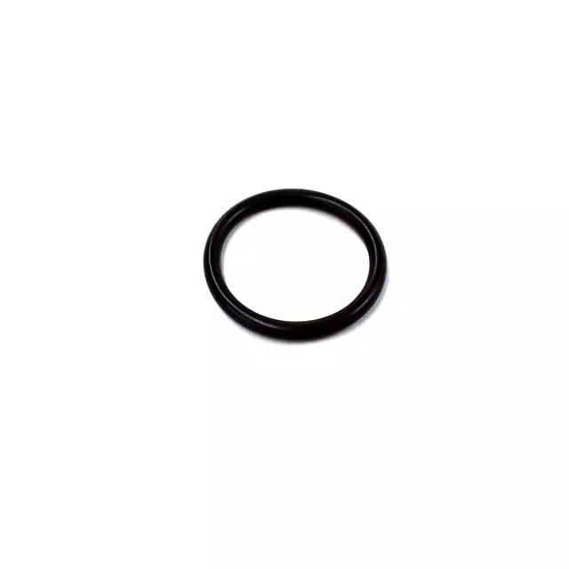 Engine Coolant Pipe O-Ring - Volkswagen (058-121-687)