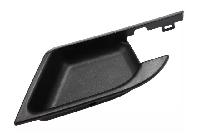 96462711 - Body: Handle Bezel for Chevrolet: Aveo, Aveo5 | Pontiac: G3 Image image