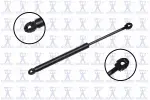 84479 - : Trunk Lid Lift Support for Focus Auto Parts Image