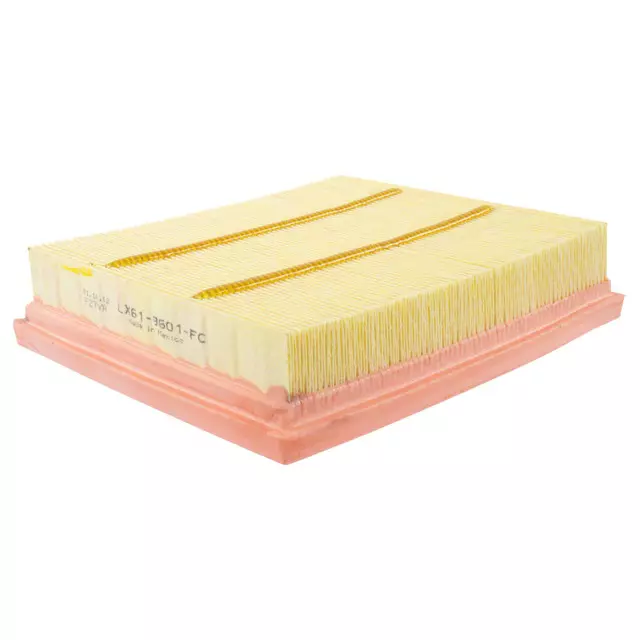 Air Filter - Ford (LX6Z-9601-A)