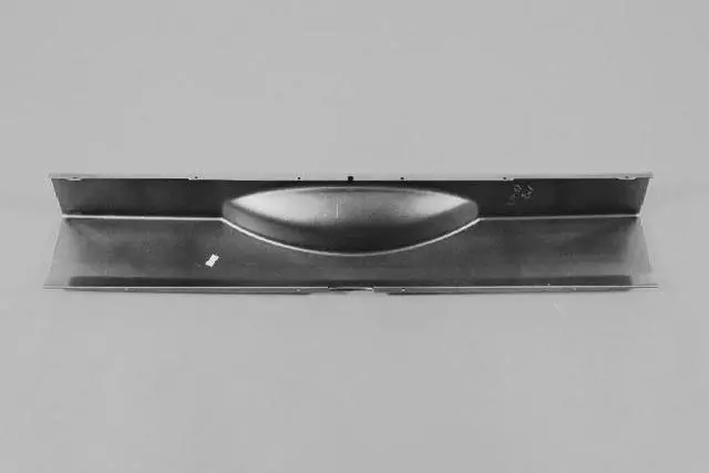 Fascia Applique - Mopar (1ML22TZZAA)