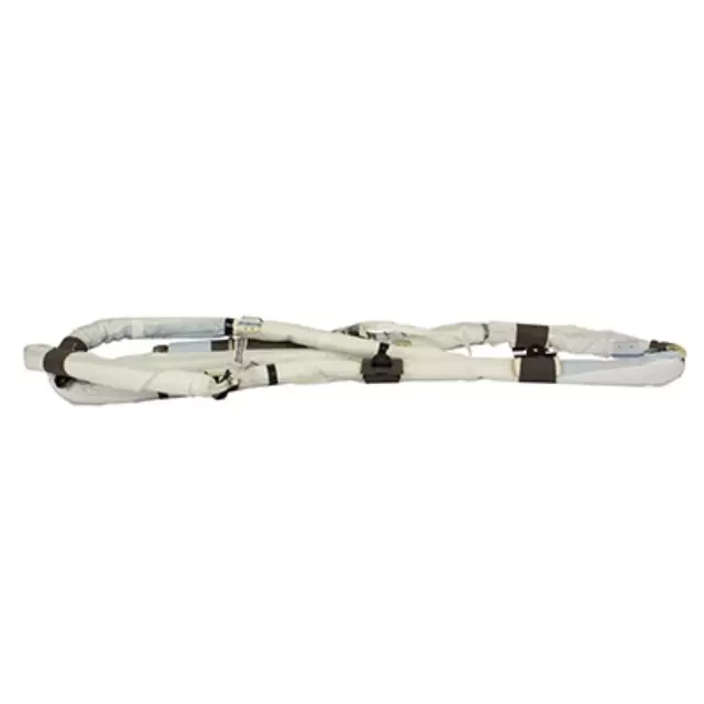 Curtain Air Bag - Ford (JL1Z-78042D95-G)
