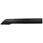 DT1Z6120879BC - Body: Body Side Molding for Ford: Transit Connect Image