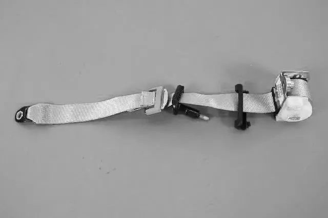 1BF011J3AE - Interior Trim: Rear Outer Seat Belt, Left for Chrysler: Aspen | Dodge: Durango Image