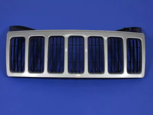 Radiator Grille - Mopar (1DF491S2AB)