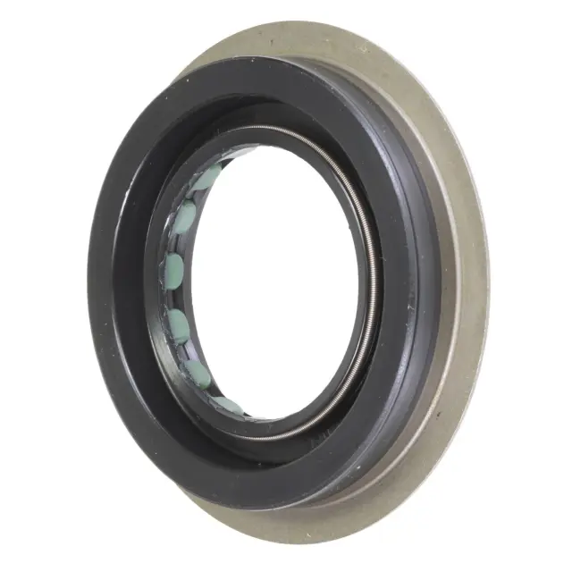 SS5595 - : FAG Shaft Seal for SCHAEFFLER BEARING Image