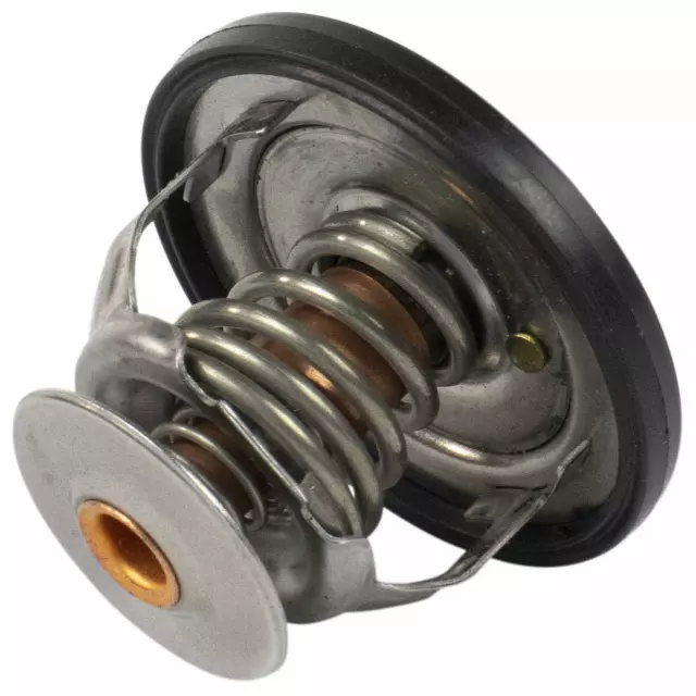 Thermostat Assembly - Ford (QRT-30)