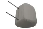 20757995 - Body: Headrest for GM Image