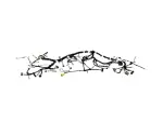68484369AB - Electrical: Instrument Panel Wiring for Mopar Image