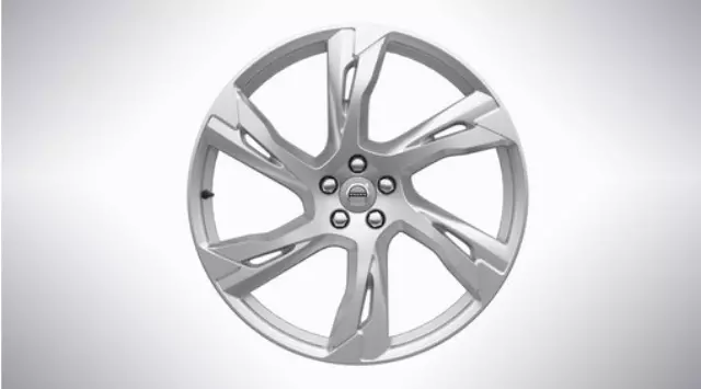 31650460 - Suspension: 22-inch 6-Double Spoke Silver Alloy Wheel for Volvo Image