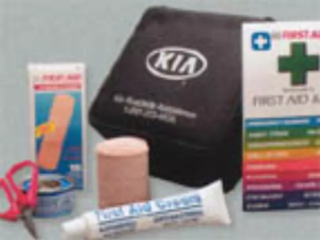 UV020AY095A - Interior: First Aid Kit for Kia: Sedona Image