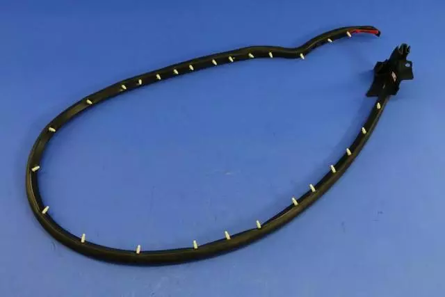 4865564AD - : Front Door Sill Secondary Weatherstrip, Right for Mopar Image