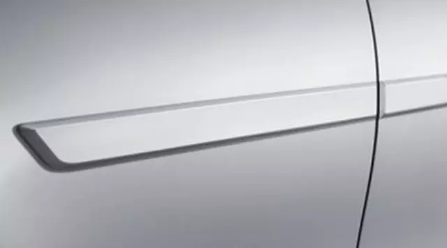Body Side Molding   - Toyota (PT938-42130-AA)